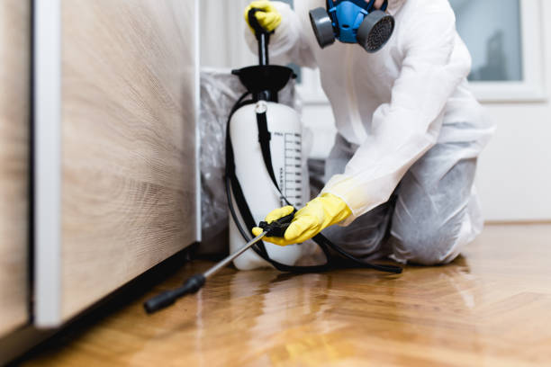 Best Pest Prevention Services  in Lake In The Hls, IL