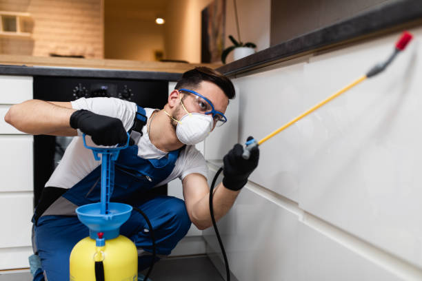 Trusted Lake In The Hills, IL Pest Control Experts