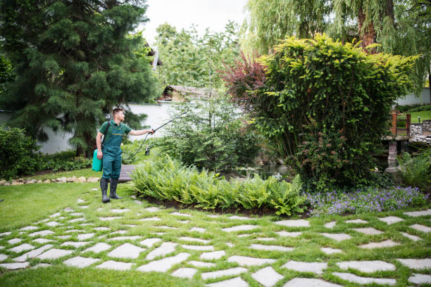 Best Wasp Removal Services  in Lake In The Hls, IL