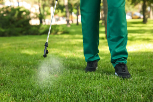 Best Best Pest Control Companies  in Lake In The Hls, IL