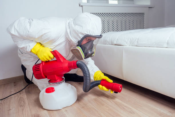 Best Affordable Pest Control Services  in Lake In The Hls, IL