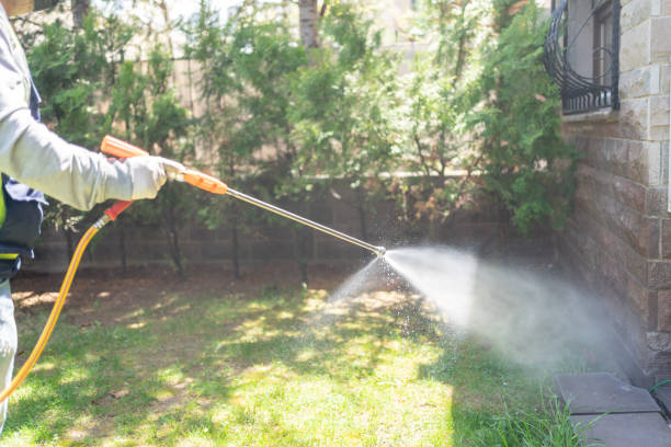 Best Flea Control Services  in Lake In The Hls, IL