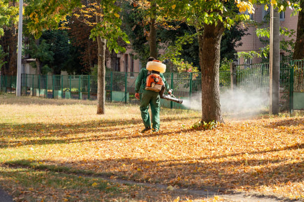 Best Mosquito Control Services  in Lake In The Hls, IL